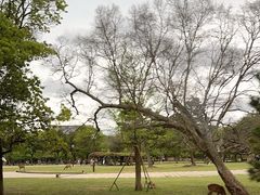 -奈良公园
