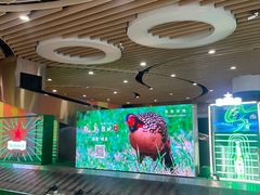 -厦门高崎国际机场-T3航站楼