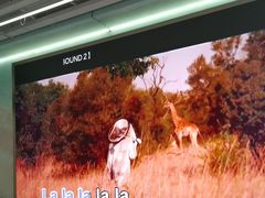 -CIAO·团建聚餐·生日派对轰趴馆(福田店)