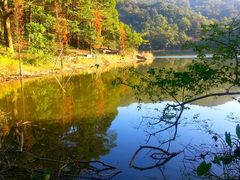 android_upload_pic-广州市石门国家森林公园
