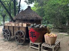 -天目湖山水园