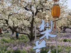 -江苏三台山国家森林公园