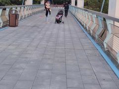 -东莞植物园