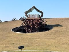 -合肥滨湖国家森林公园