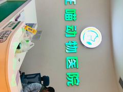 -汪喵宠物医院·骨科心脏影像·犬猫急重症ICU诊疗中心(成华分院)