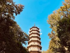 -灵谷景区
