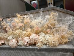 -云南吴氏嘉美医疗美容医院