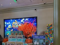 -开海·红岛海鲜虾水饺(石老人店)