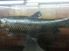 -南京金牛湖风景区