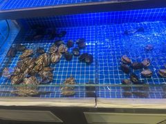 -董府和牛宴