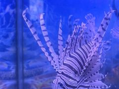 -多彩贵州城极地海洋世界