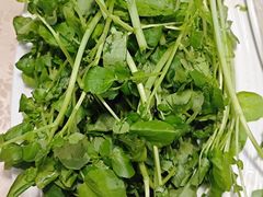 -颜氏双江清水鱼一养身火锅(磁器口店)