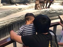 -自然博物馆新馆2楼餐厅