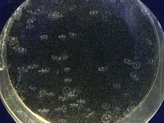 -青岛海底世界-水族馆
