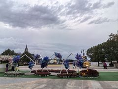 -荷兰花海