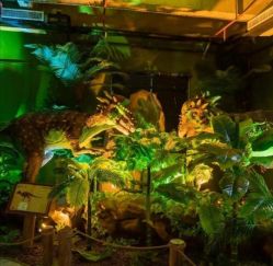 -恐龙探索乐园(磁器口店)