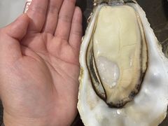 -蚝专家(北滘店)