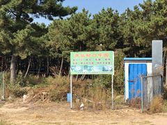 -仰口沙滩