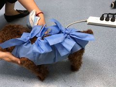 -美联众合动物医院·24h京西诊疗中心