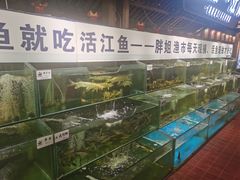 水产区-胖姐渔村(中源大道店)
