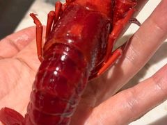 -王红军龙虾(新民路店)