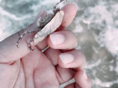 -兴旺渔家