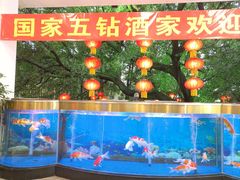 -鹿鸣酒家(越秀店)