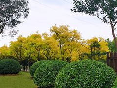 -永定河休闲森林公园