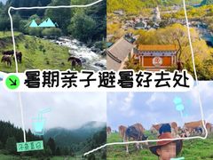 -芦芽山旅游度假区