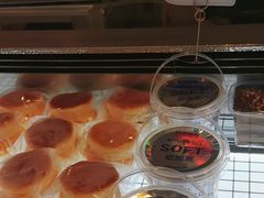 -TD66高山铁皮石斛养生茶饮