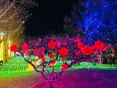 -青龙湖公园