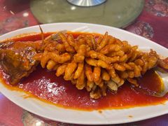 松鼠桂鱼-玉华台饭庄(裕中西里小区店)