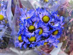 -大润发(梅兰东路店)