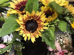 -ChaKo Flora ·茶子花艺 (市北店)