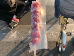 -和禄德冰糖葫芦