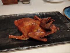 非遗红烧乳鸽-侨美·唐荔园·40年地道粤菜