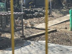 -丽泽山庄·生态怀柔菜·虹鳟鱼(红螺寺店)