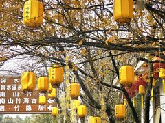 -天目湖御水温泉·度假酒店