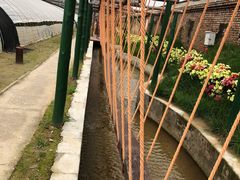 -呀路古热带植物园