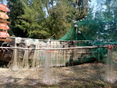 -北海金海湾红树林生态旅游区