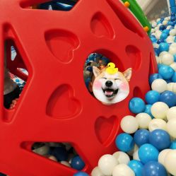 -Lucky Star幸运星&一同潮玩(友阿国际广场店)