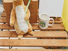 -新世界大丸百货