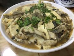 -煲来饱去冷水鱼