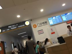 -上海交通大学医学院附属上海儿童医学中心(陆家嘴总院区)