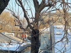 -巴巴新生活·四合院会议·疗愈团建.品牌活动