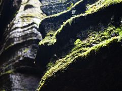 -梭布垭石林景区