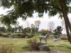 -两河城市森林公园