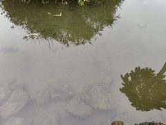 -侯臣咖啡文化村