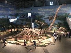 -自贡恐龙博物馆