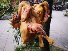 -青城甲(青城山店)